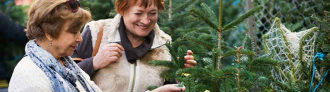 Weihnachtsbaumverkaufsstand